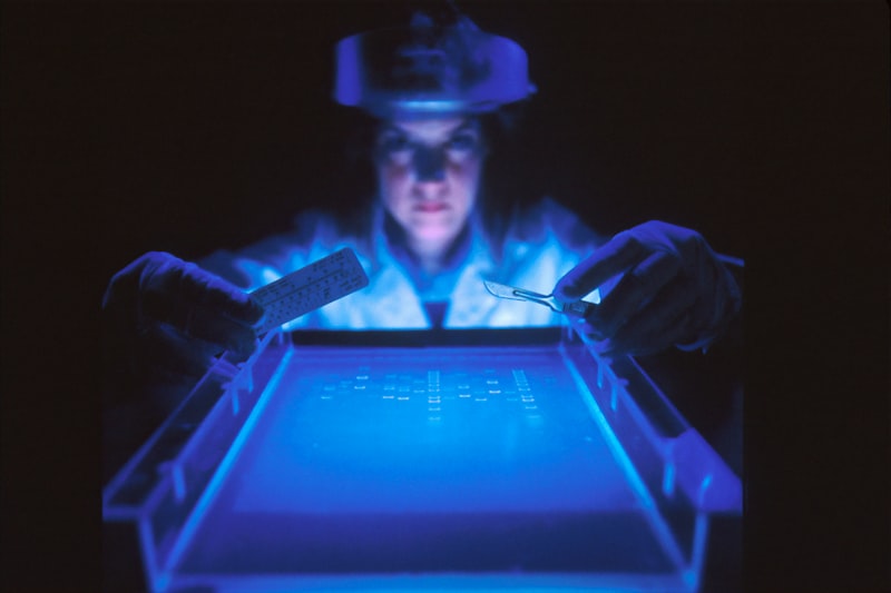 DNA ve Genetik Mirasın Sırları DNA ve Genetik Mirasın Sırları
