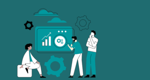 Seo Nedir?