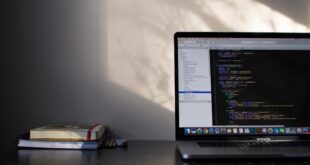 Web Sitesi Güvenliği: Tehditlere Karşı Koruma
